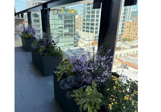 Beatriz Casadiego Design 