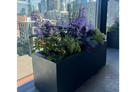 Beatriz Casadiego Design 