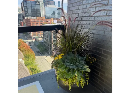 Beatriz Casadiego Design 