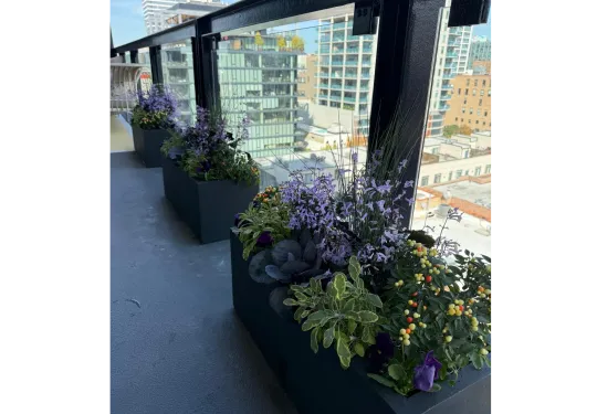 Beatriz Casadiego Design 