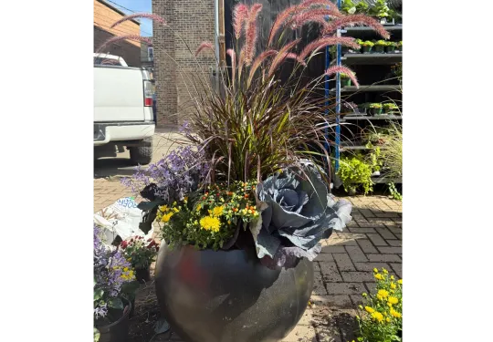 Beatriz Casadiego Design 