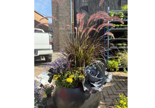 Beatriz Casadiego Design 