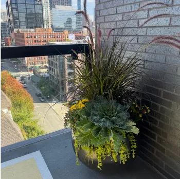 Beatriz Casadiego Design 