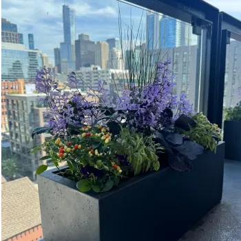 Beatriz Casadiego Design 