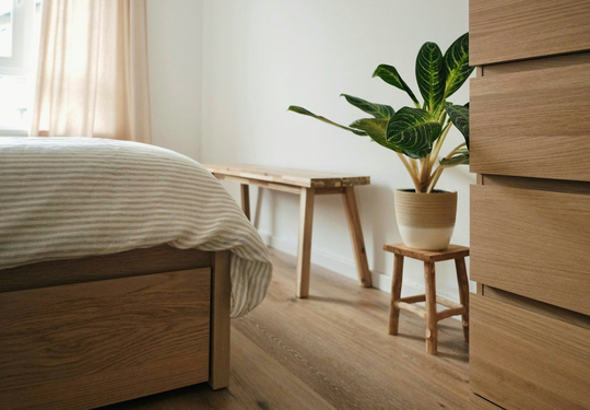 Beatriz Casadiego Design