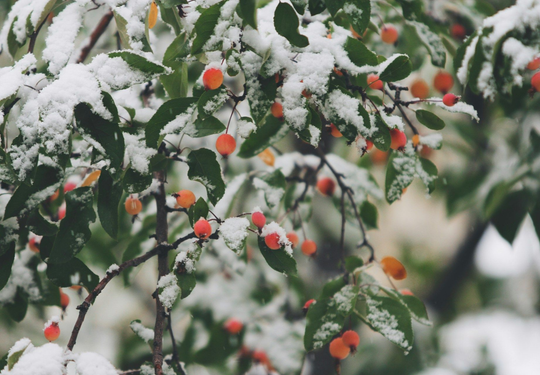 Beatriz Casadiego Design