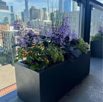 Beatriz Casadiego Design 