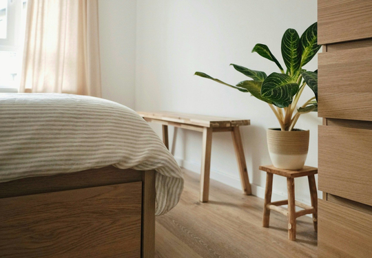 Beatriz Casadiego Design