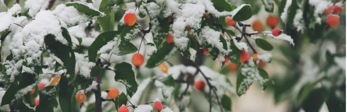 Beatriz Casadiego Design